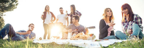 Hamburger Singles flirten beim Picknick im Sommer